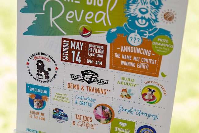  The Big Reveal FunDay May 2022 