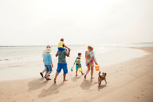 Rear view of a family walking along the beach with their dog while on holiday.