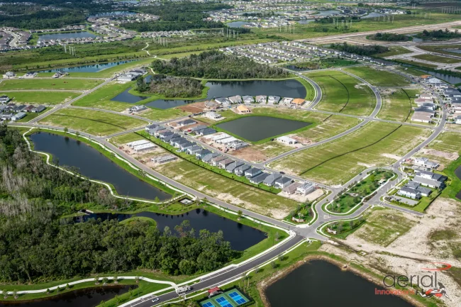 Longmeadow June 2025