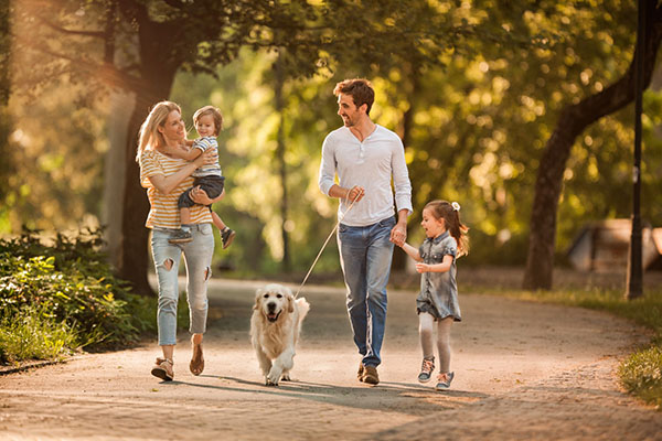 Young family taking their dog for a walk during spring day at the park. - New Home Community - New Construction Homes For Sale in Parrish, FL