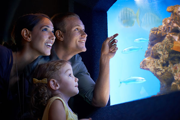 Young family enjoying a day at the aquarium - New Home Community - New Construction Homes For Sale in Parrish, FL