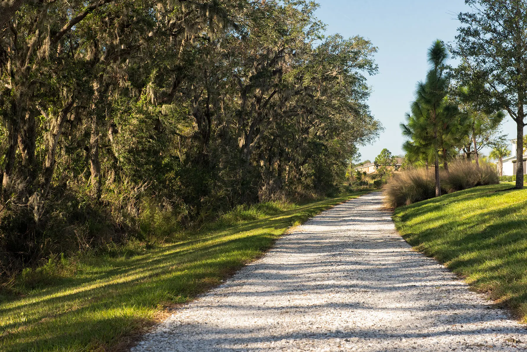 A gravel path running between trees at North River Ranch, Parrish, FL